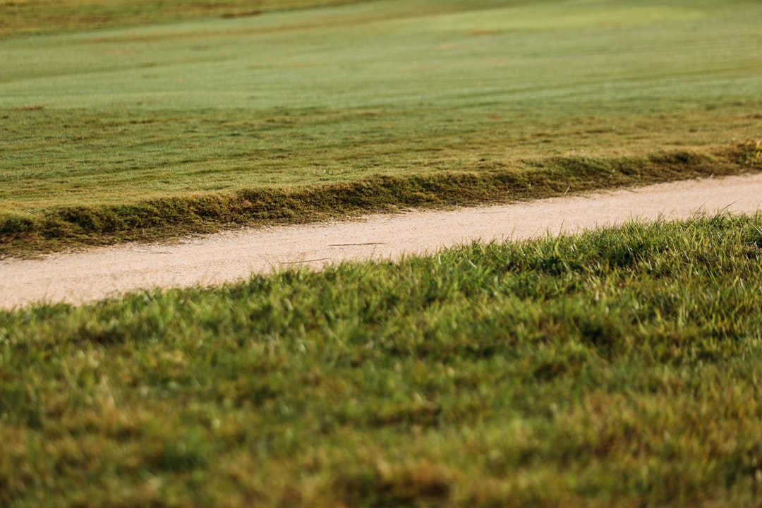 Il miglior putter del 2022: la scelta dei membri di GolfWRX